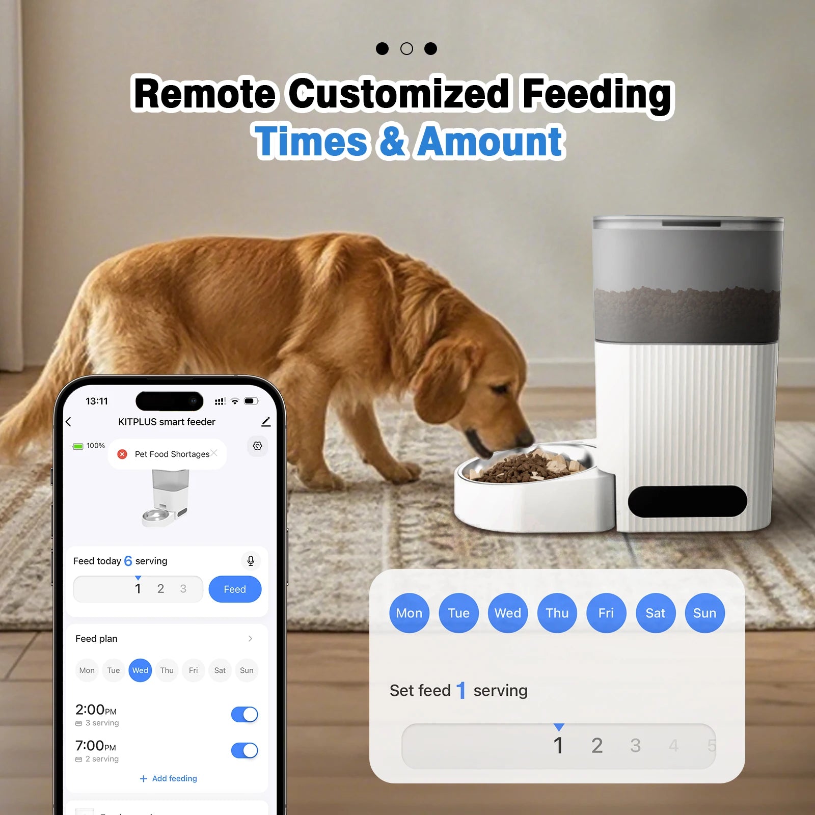 Automatic Cat Feeder