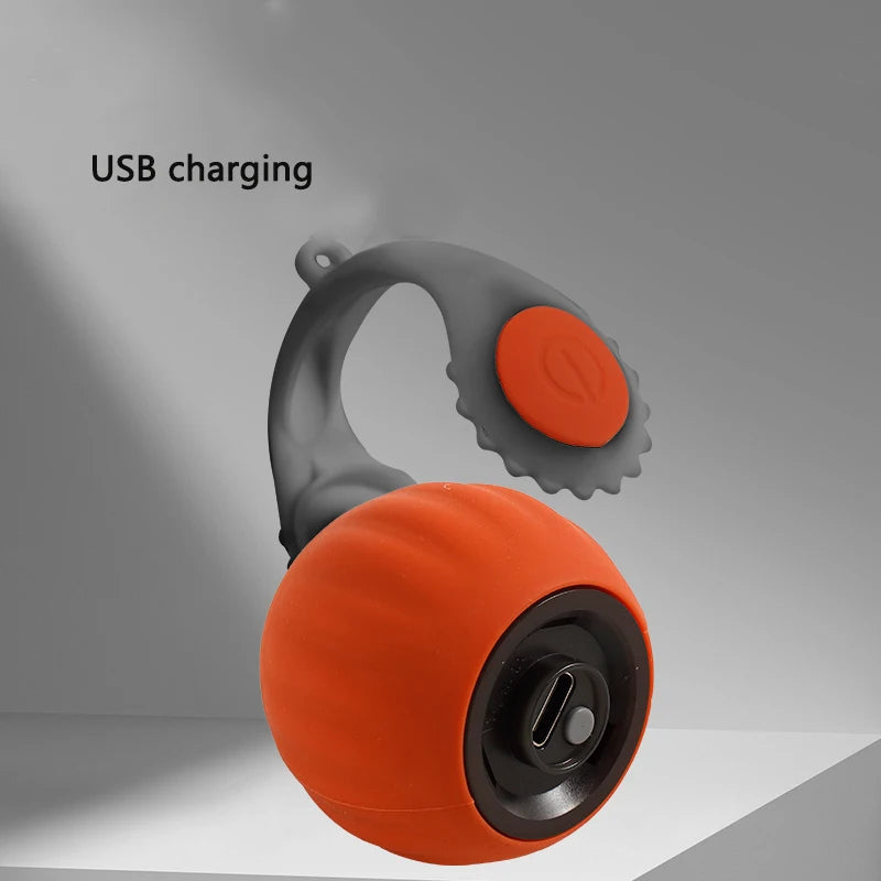 Automatic Ball Toy